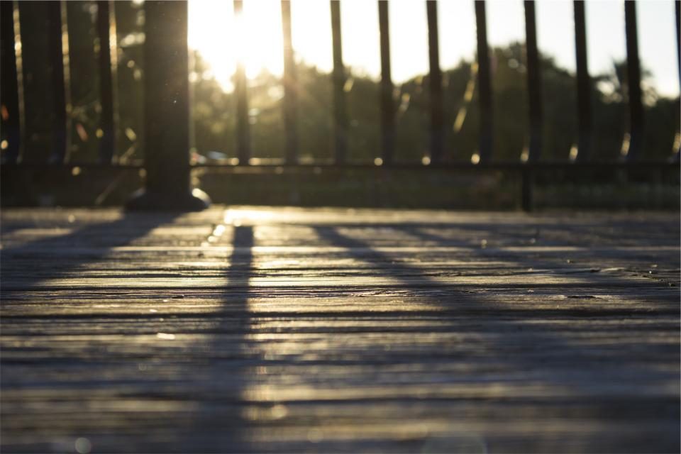 Wood deck boards in evening light