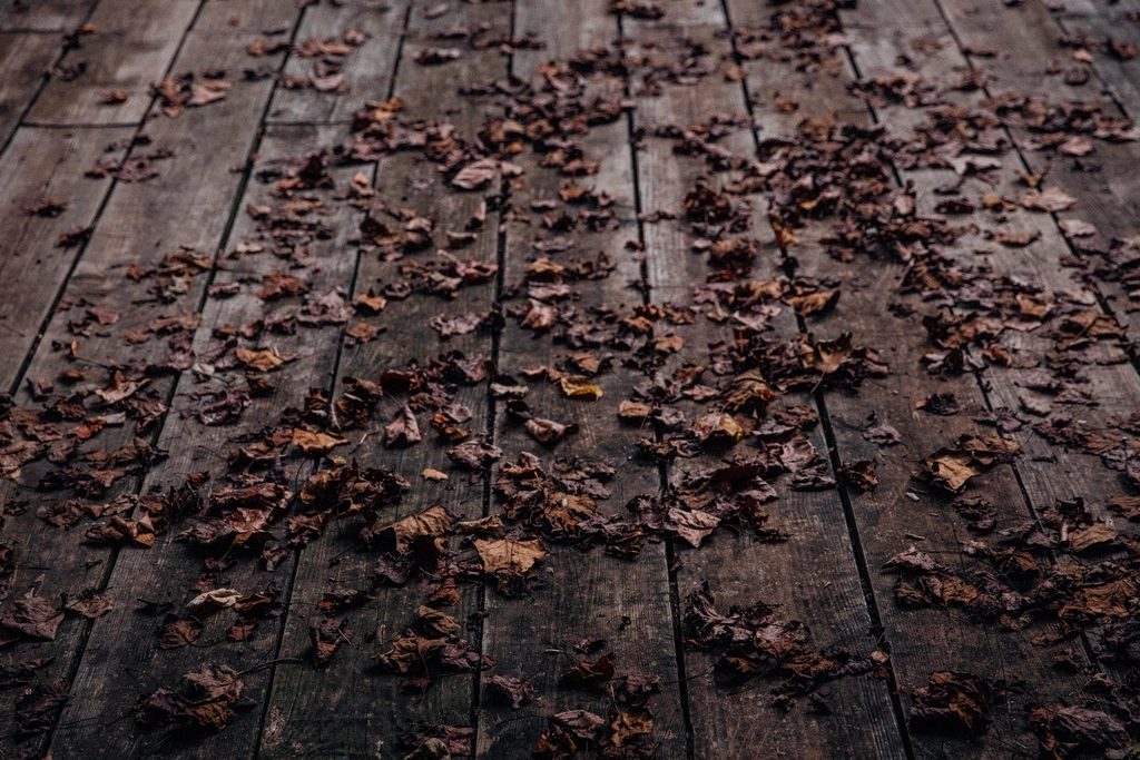 Wood deck boards with fallen leaves