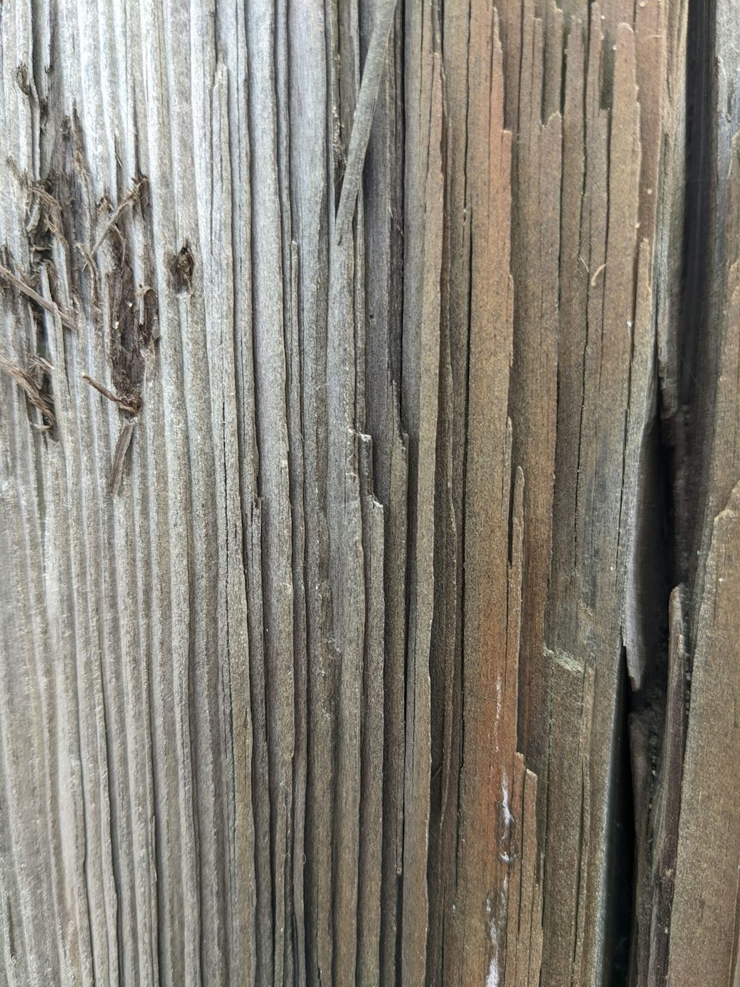 Weathered wood board with visible crack