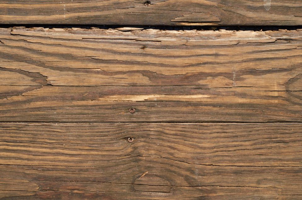 Wood deck boards