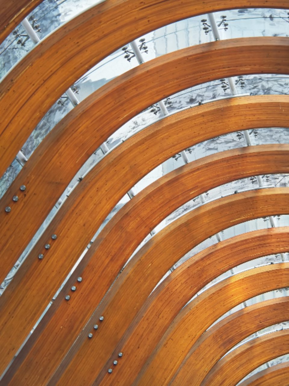 Exposed curved wood beams and timber structure